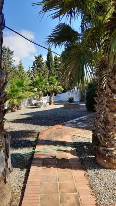Valle de Abdalagís Charming House With Pool & Barbecueヴィラ エクステリア 写真